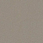 Chaises de salle à manger Amisco Perry (lot de 2)