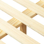 Lit Indira de Haven Home