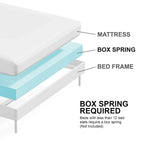 Lit moderne à panneaux de bois arrondis Chase de Furniture of America